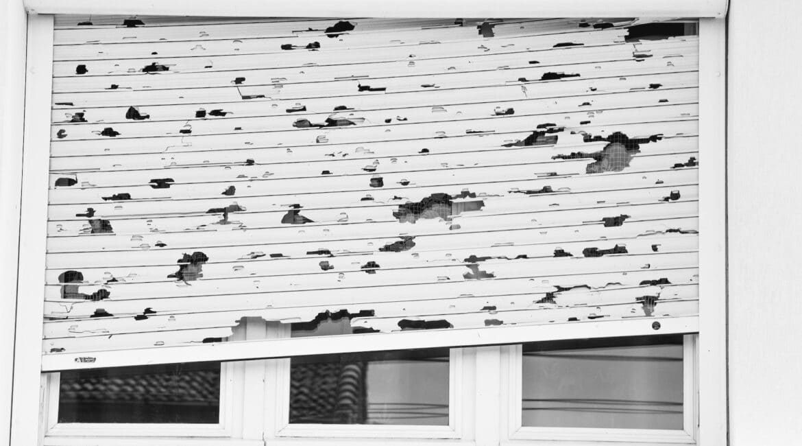 Storm Panels