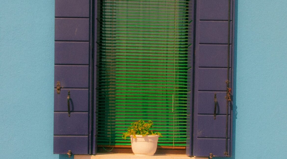 window shutters