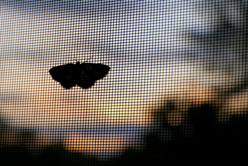 roll down window screen